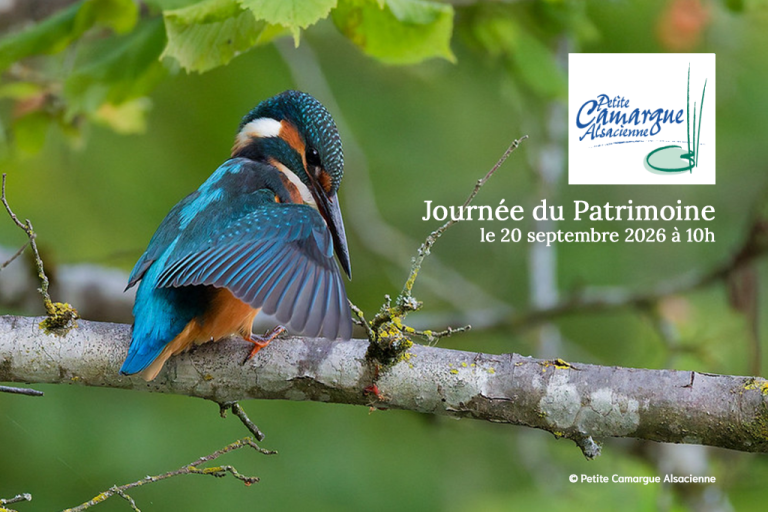 Journée du Patrimoine Petite Camargue Alsacienne à 10h le 20 septembre 2026